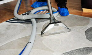 Lavender Care Cleaning Services