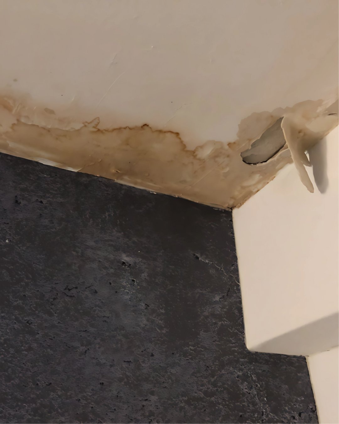 Severe ceiling water damage and peeling paint inspection by Lavender Care