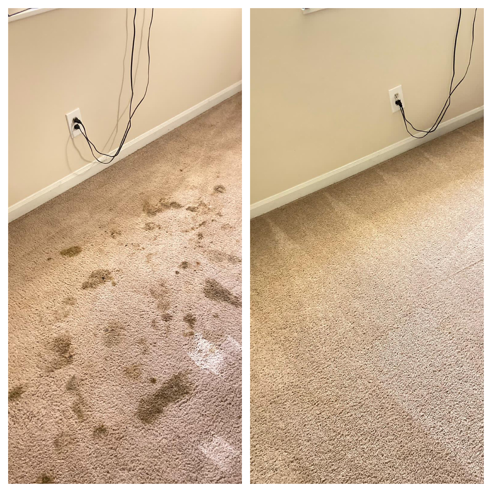 Carpet cleaning before and after
