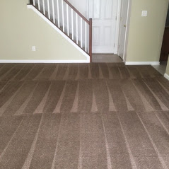 Carpet and Tile Cleaning